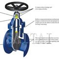 Resilient Seated Gate Valves